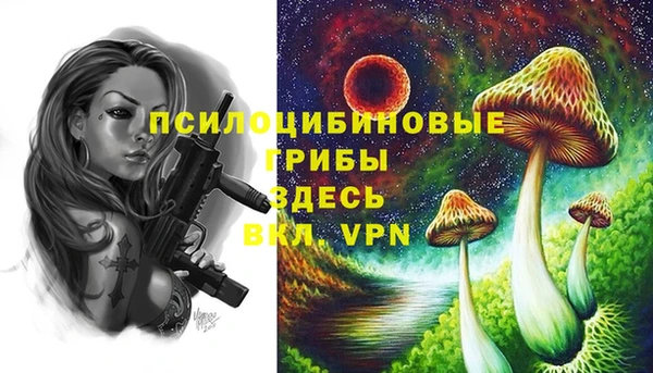 марки lsd Бронницы
